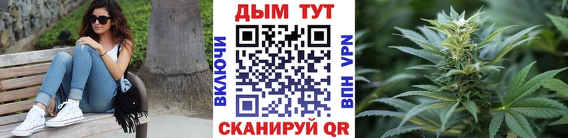 Шишки марихуана сатива  купить  цена  Старый Крым 
